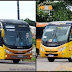 Gertaxi compra 43 novos ônibus para o Ceará e para o Maranhão
