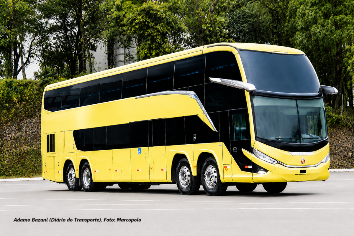Atuação do STF e crise de confiança nas instituições aumentam necessidade de segurança jurídica no transporte, diz advogada
