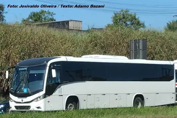 ARTESP multa 29 empresas de fretamento, publica 36 penalidades de apreensão por transporte irregular e libera 16 operadores em São Paulo