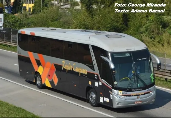 Artesp multa Rápido Luxo Campinas por paradas irregulares e falta de identificação obrigatória em ônibus metropolitanos