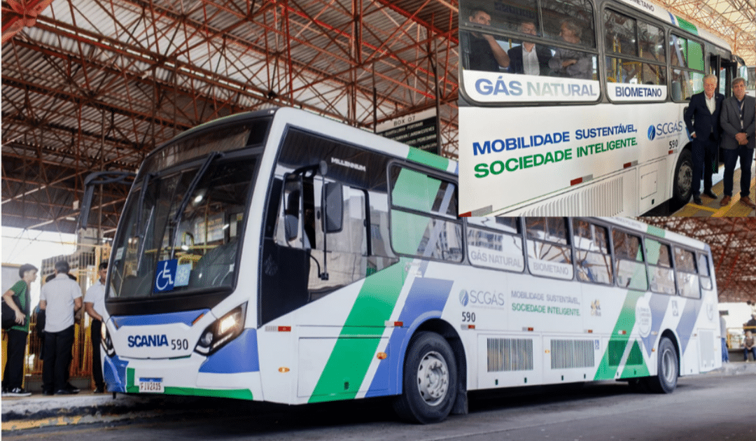 Ônibus a gás natural ganham espaço como alternativa ao diesel no transporte coletivo