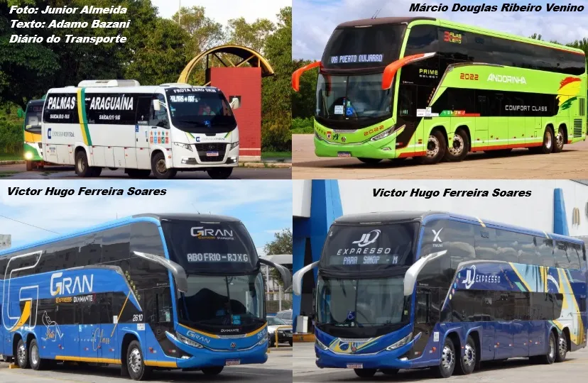 ANTT decide sobre Andorinha, Expresso Central, Gran Express e Mamoré (JL Expresso)