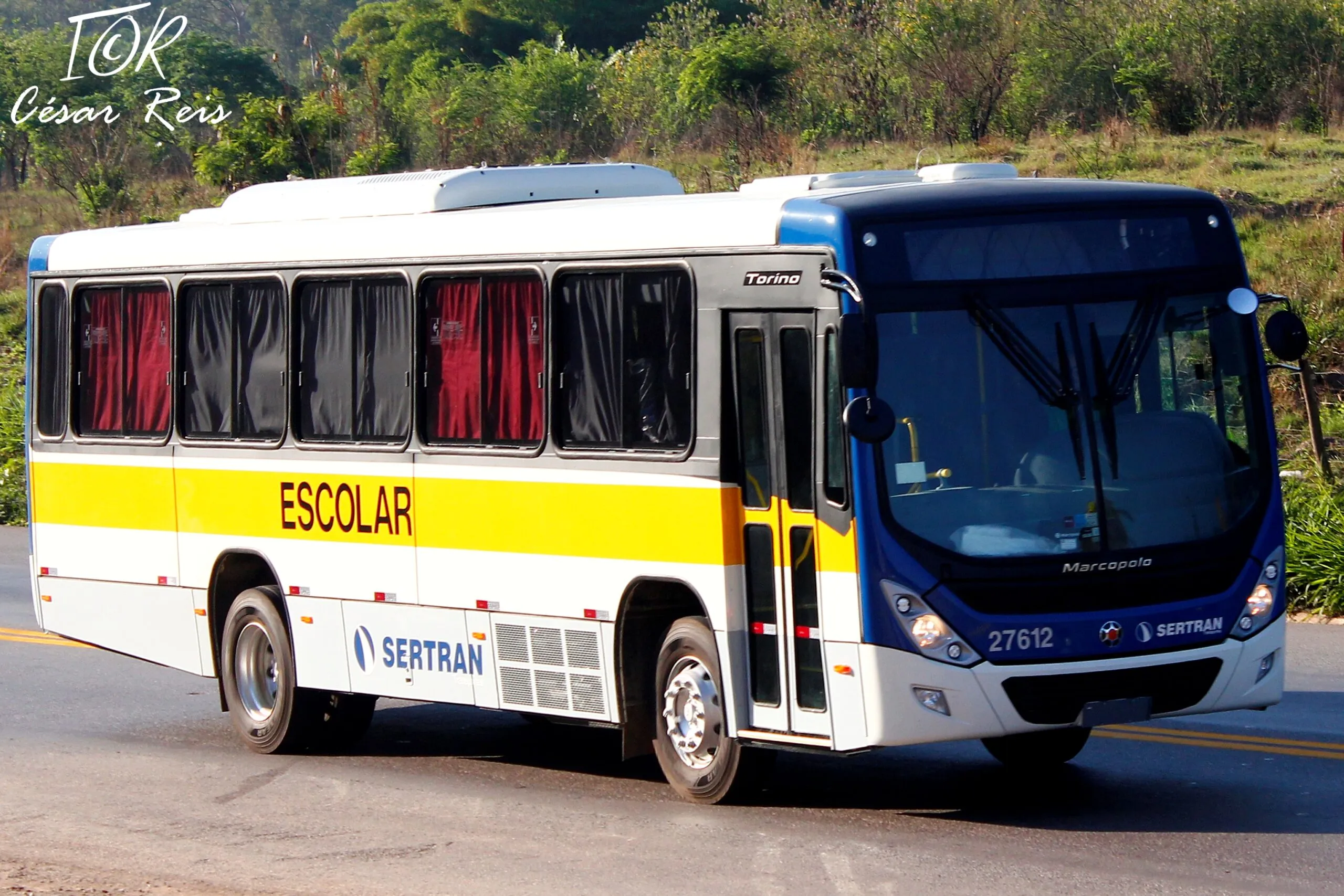 Sertran recebe novos Marcopolo Torino e reforça renovação de frota em ano de 30 anos
